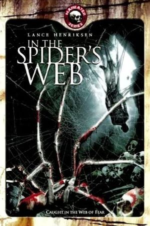 In the Spider's Web's poster