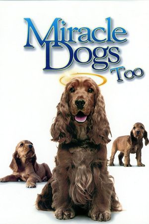 Miracle Dogs Too's poster