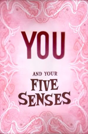 You and Your Five Senses's poster