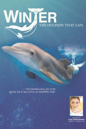 Winter, the Dolphin That Can's poster