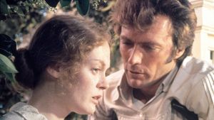 The Beguiled's poster