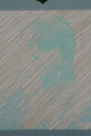 PROFILES's poster