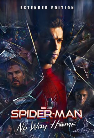 Spider-Man: No Way Home's poster