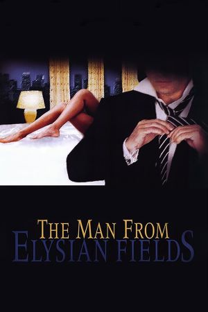 The Man from Elysian Fields's poster