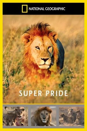 Superpride's poster