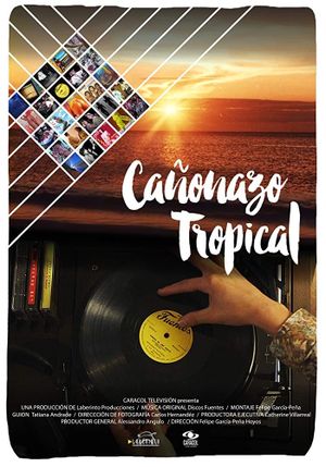 Tropical Hits's poster