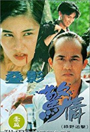 Dip ying geng ching's poster