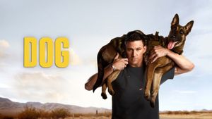 Dog's poster