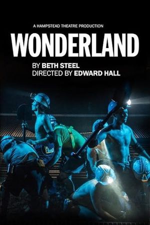 Hampstead Theatre At Home: Wonderland's poster image