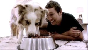 Doggie Heaven's poster