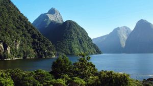 Aerial New Zealand's poster