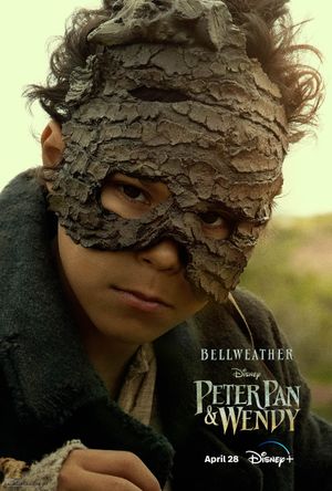 Peter Pan & Wendy's poster