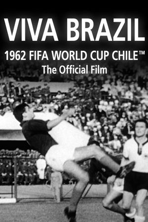 Viva Brazil's poster