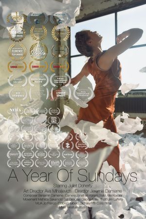 A Year of Sundays's poster