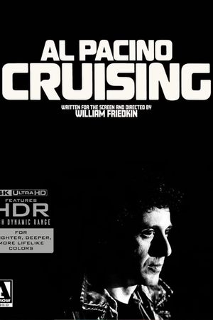 Cruising's poster