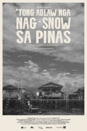 The Day It Snowed In The Philippines's poster