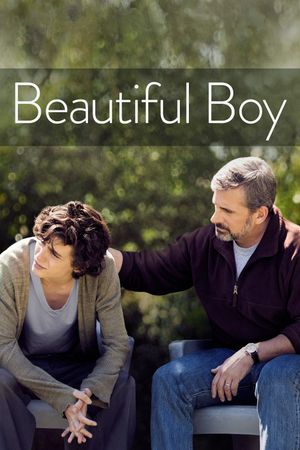 Beautiful Boy's poster