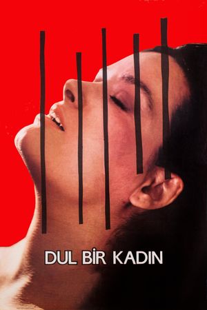 Dul Bir Kadin's poster