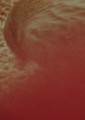 Burial Path's poster