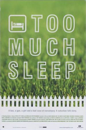 Too Much Sleep's poster