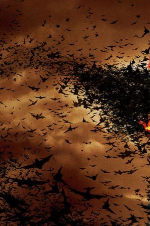 Batman Begins's poster