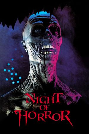 Night of Horror's poster