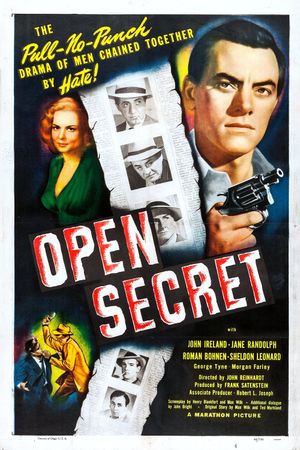 Open Secret's poster