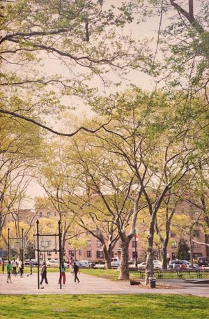 The Park's poster