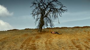 The Wild Pear Tree's poster