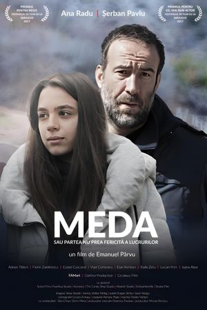 Meda or The Not So Bright Side of Things's poster
