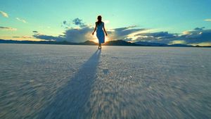 Rosy-Fingered Dawn: a Film on Terrence Malick's poster