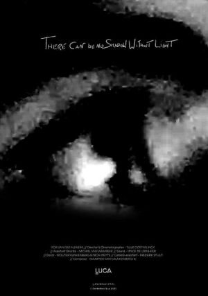 There can be no Shadow Without Light's poster