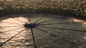 The Hunger Games: Catching Fire's poster