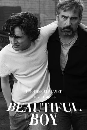Beautiful Boy's poster