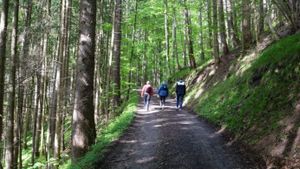 Walking: Miracle Cure for Body and Soul's poster