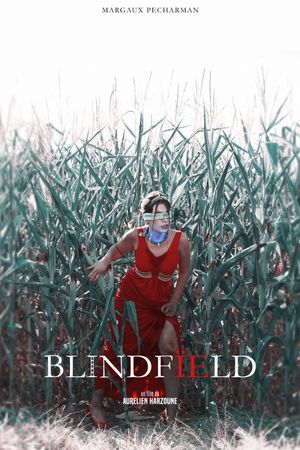 BLINDFÏELD's poster