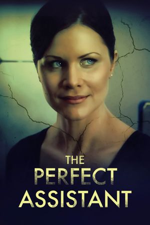 The Perfect Assistant's poster