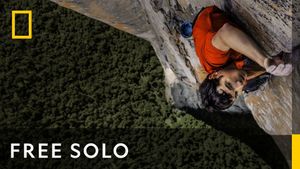Free Solo's poster
