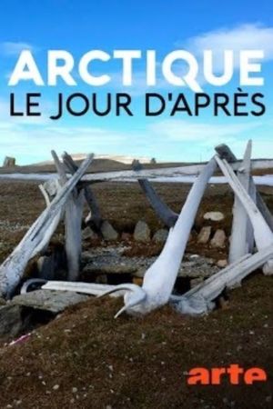 Arctique – Le jour d'après's poster