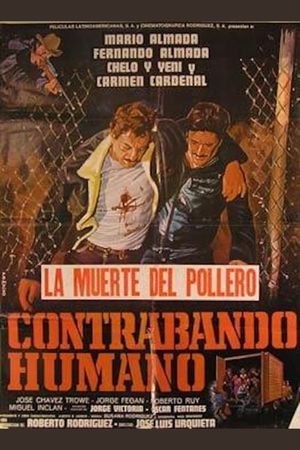Contrabando Humano's poster