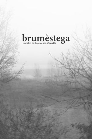 brumèstega's poster