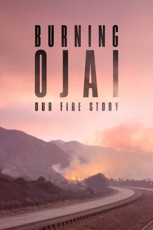 Burning Ojai: Our Fire Story's poster