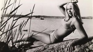 One Swedish Summer's poster