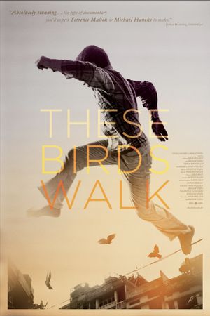 These Birds Walk's poster