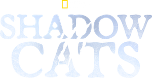 Shadow Cats's poster