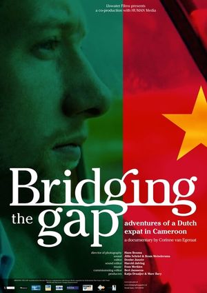 Bridging the Gap's poster