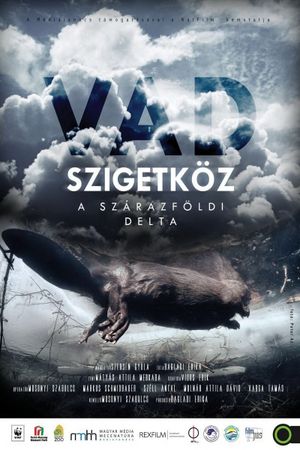 Vad Szigetköz: A szárazföldi delta's poster image