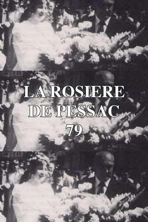 The Virgin of Pessac's poster