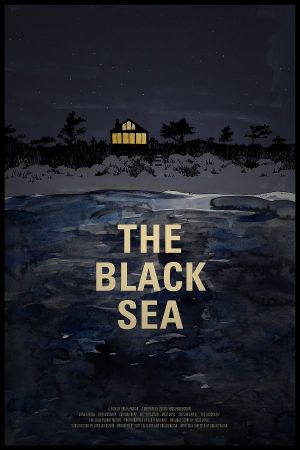 The Black Sea's poster