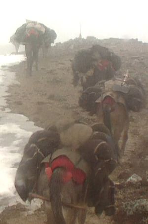 Men and Women in Gada Village's poster